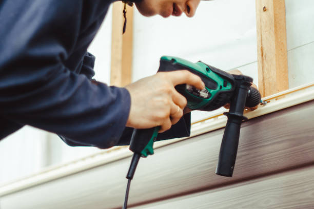 Best Siding Painting and Refinishing  in Box Elder, SD